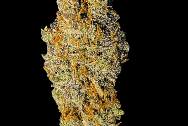 Apollo XX - Cannabis Strain - Headstone Cannabis