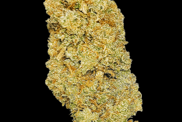 Durban Thai - Cannabis Strain - Headstone Cannabis
