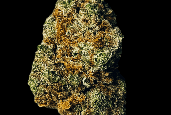 Grimm Glue - Cannabis Strain - Headstone Cannabis