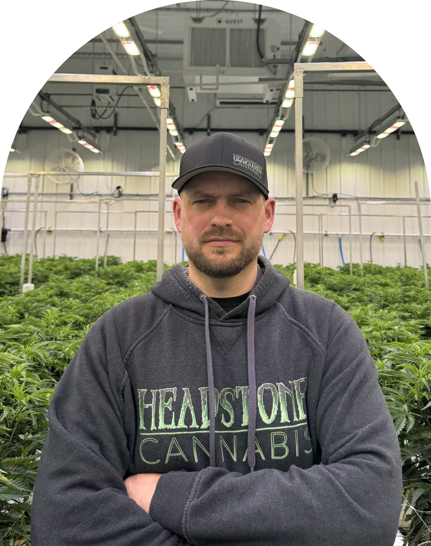 Headstone Cannabis - Chief Executive Officer - Lindsay Miller