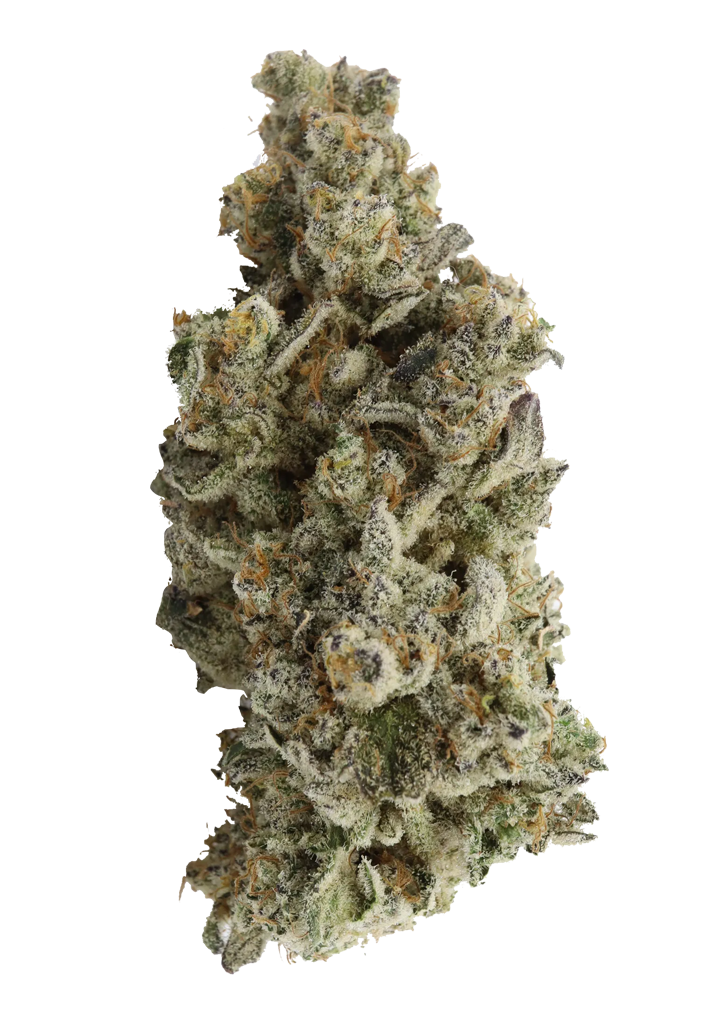 Velvet Glove 2 Hybrid Cannabis Strain